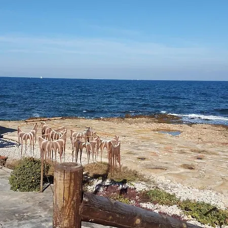 아파트 Aquamarina C 데니아
